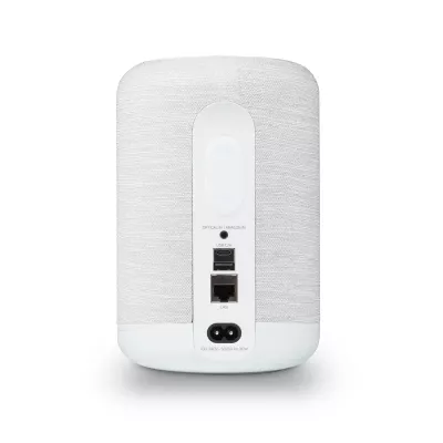 Bluesound Pulse Flex P130 in Geneva | Digistore.ch